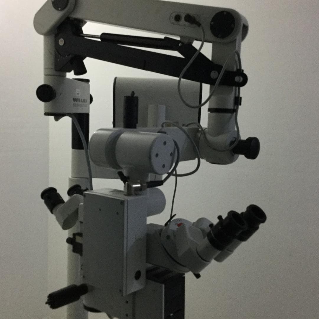 Fundus Photography/Angiography